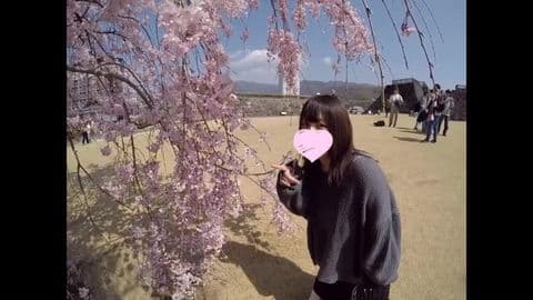 巨乳ハーフ美女と花見デート サンプル画像4