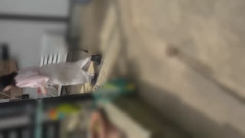 人妻の素人動画 3Pで弁済 サンプル画像1